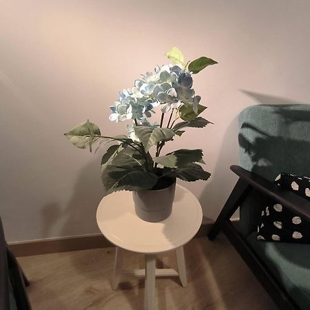 Apartamento Zabala Conoce Bilbao Desde Dentro Exteriér fotografie